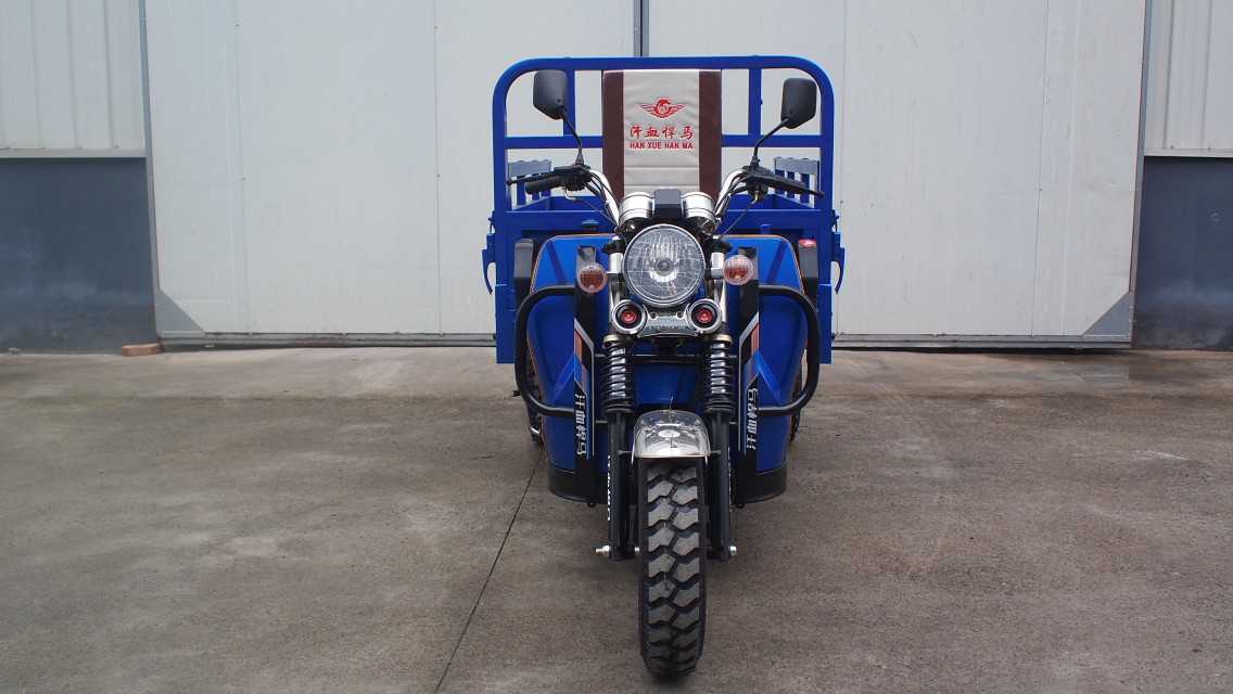 Fuel tricycle for cargo